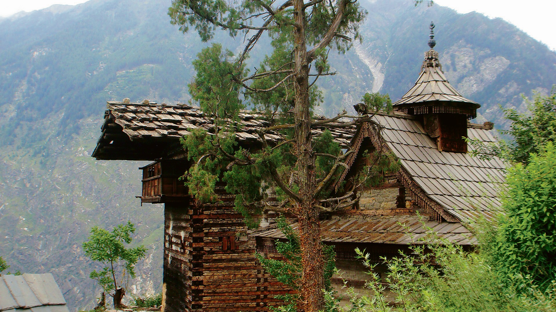 Flowers_newslist_horizontal-layout_1107371