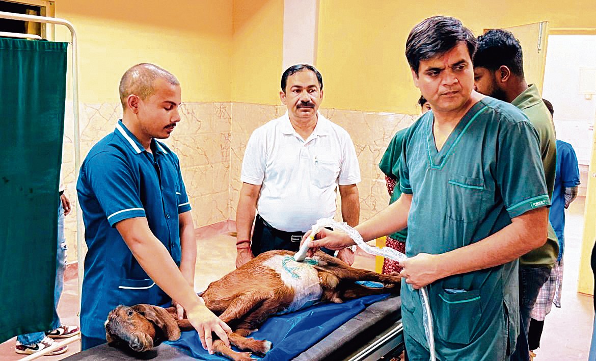 featured-img_1114639