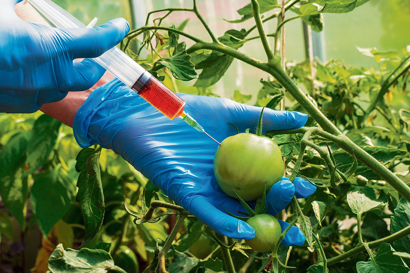 Flowers_news-list-bigImg-layout_1110280