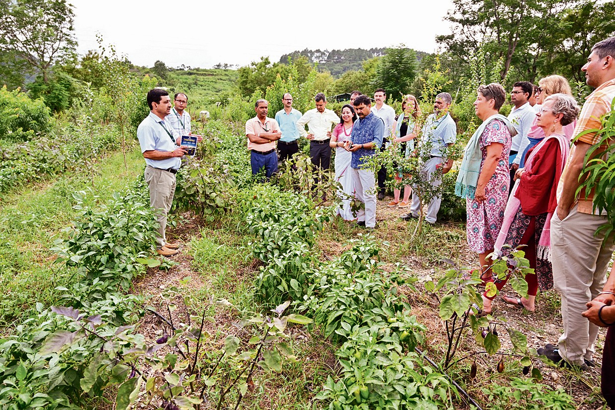 Flowers_videoCrsl_1114695