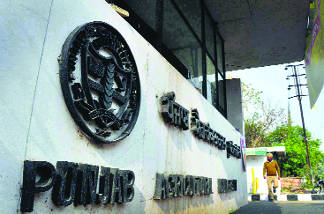 featured-img_1114994